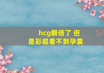 hcg翻倍了 但是彩超看不到孕囊